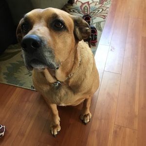 Meet your Posher, Jamie